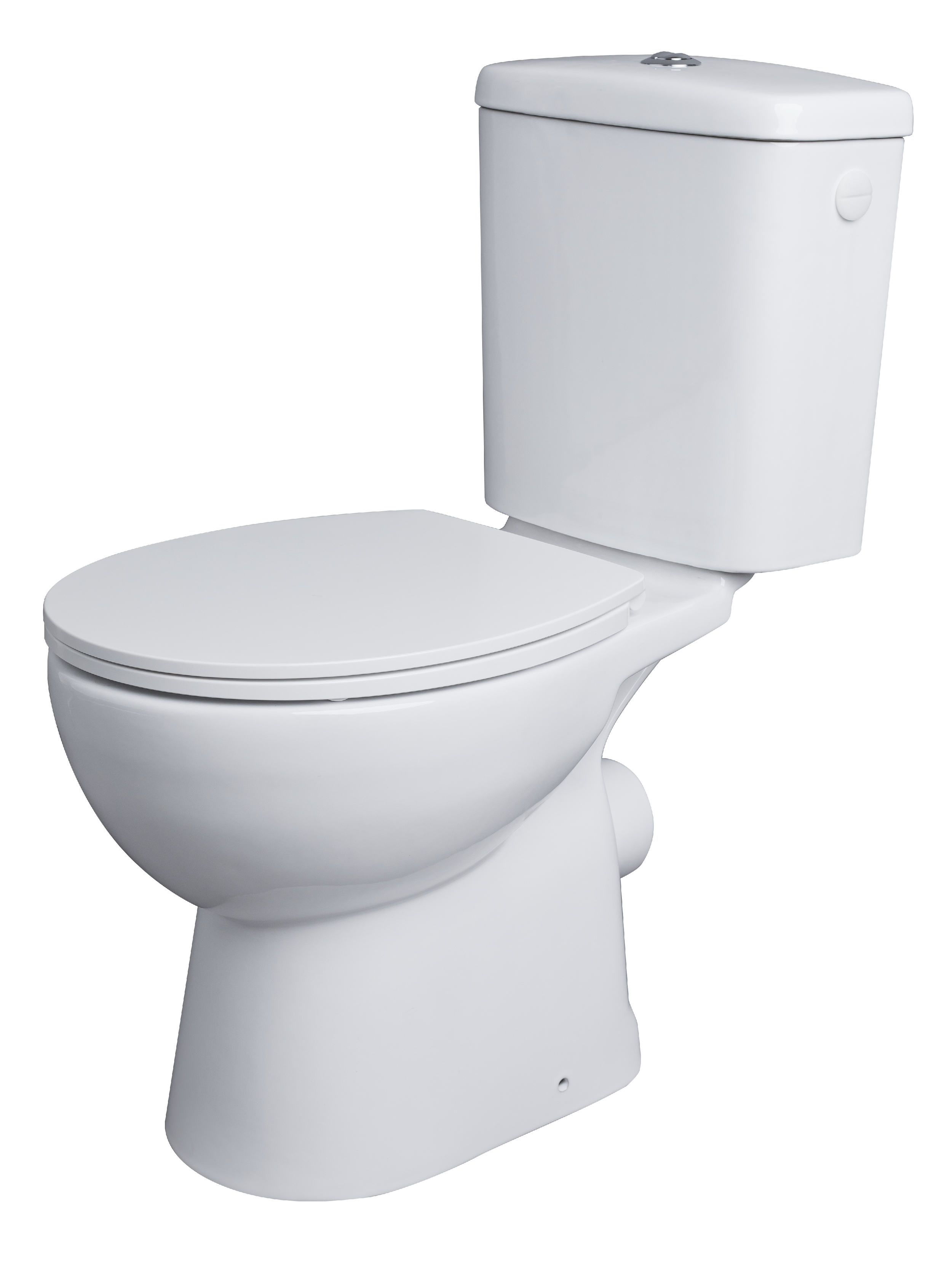 AquaVive duoblok toilet Avisio I PK aansluiting I Randloos toiletpot wit