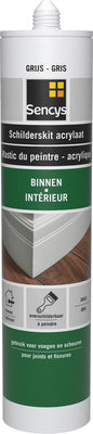 Sencys schilderskit zwart 310ml