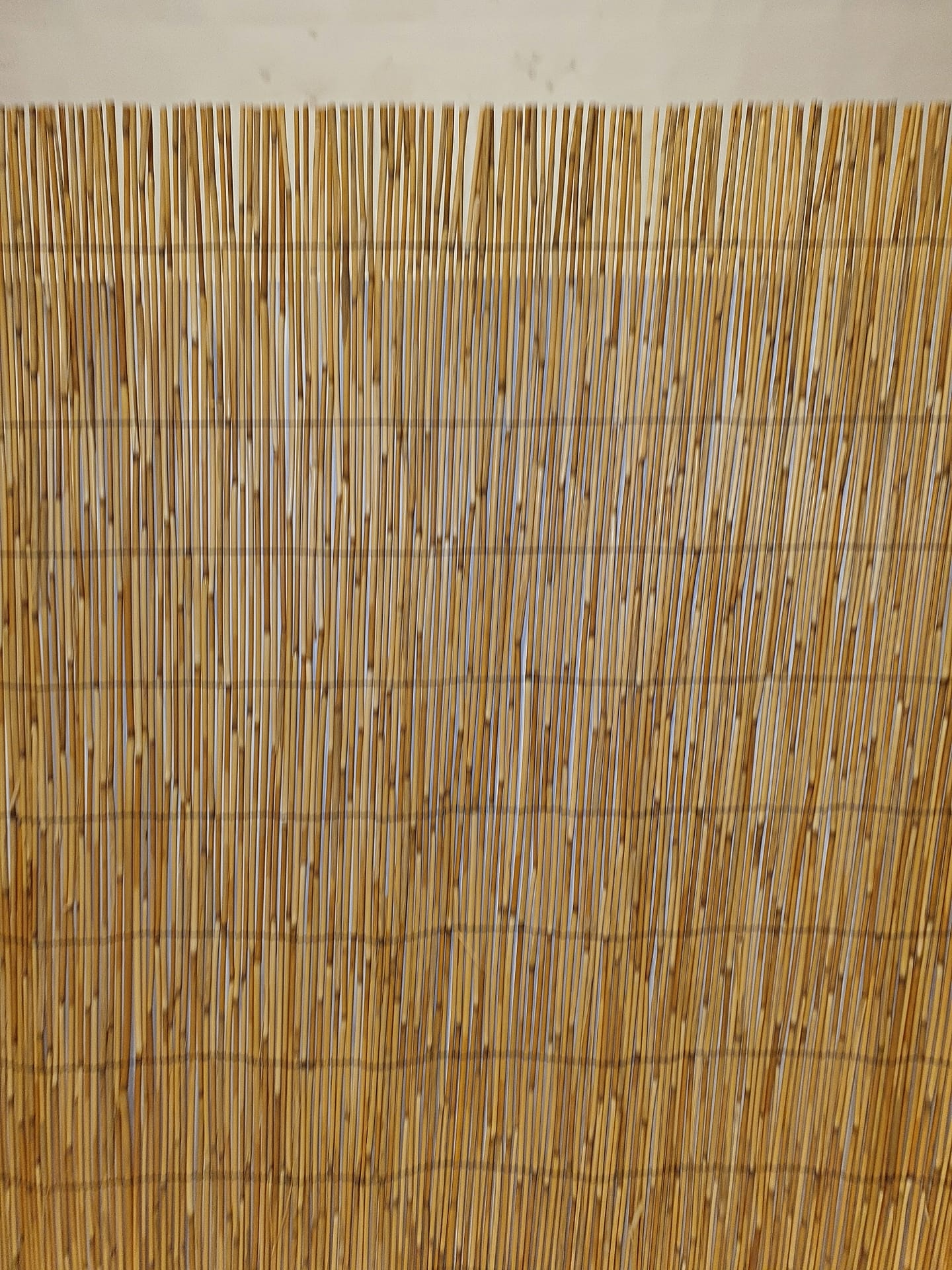 Tuinhek van riet 1x5m