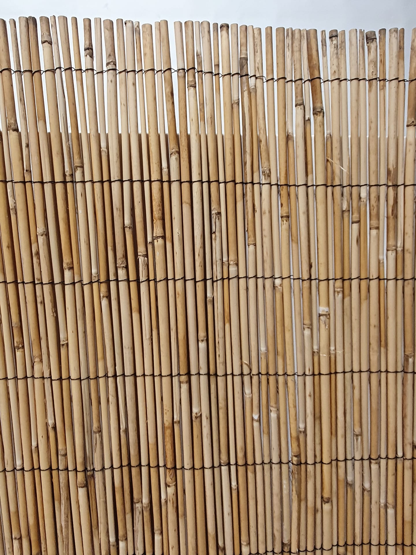 Tuinscherm van bamboe 2x5m