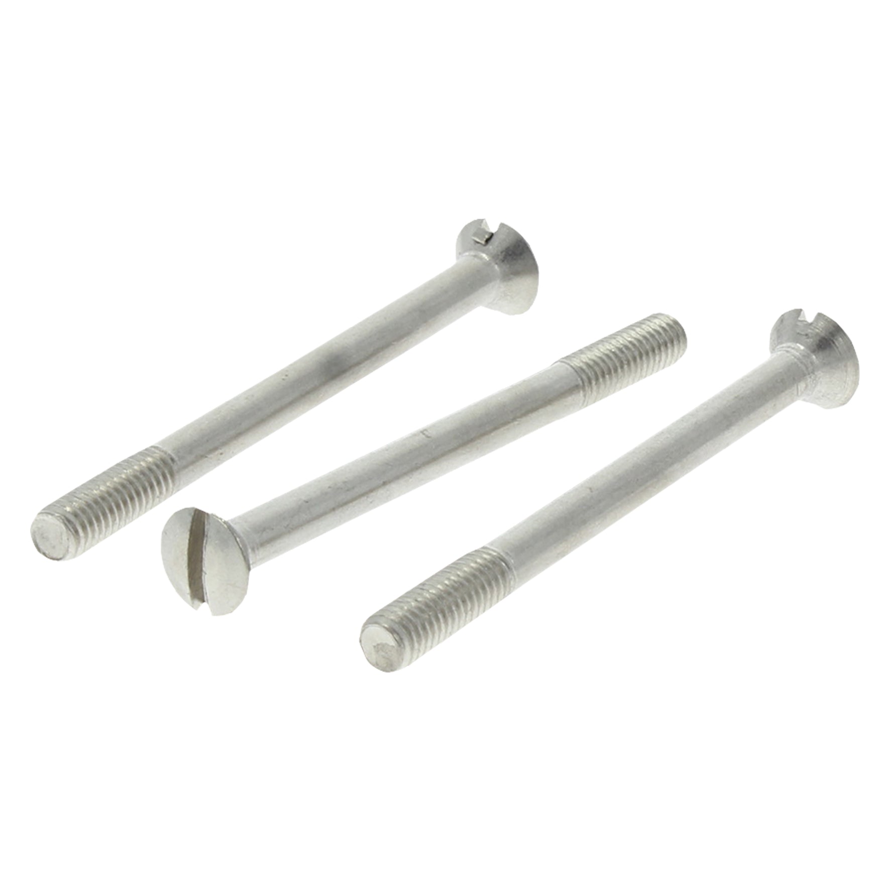 Schroef met lenskop rvs M6x70mm 3st