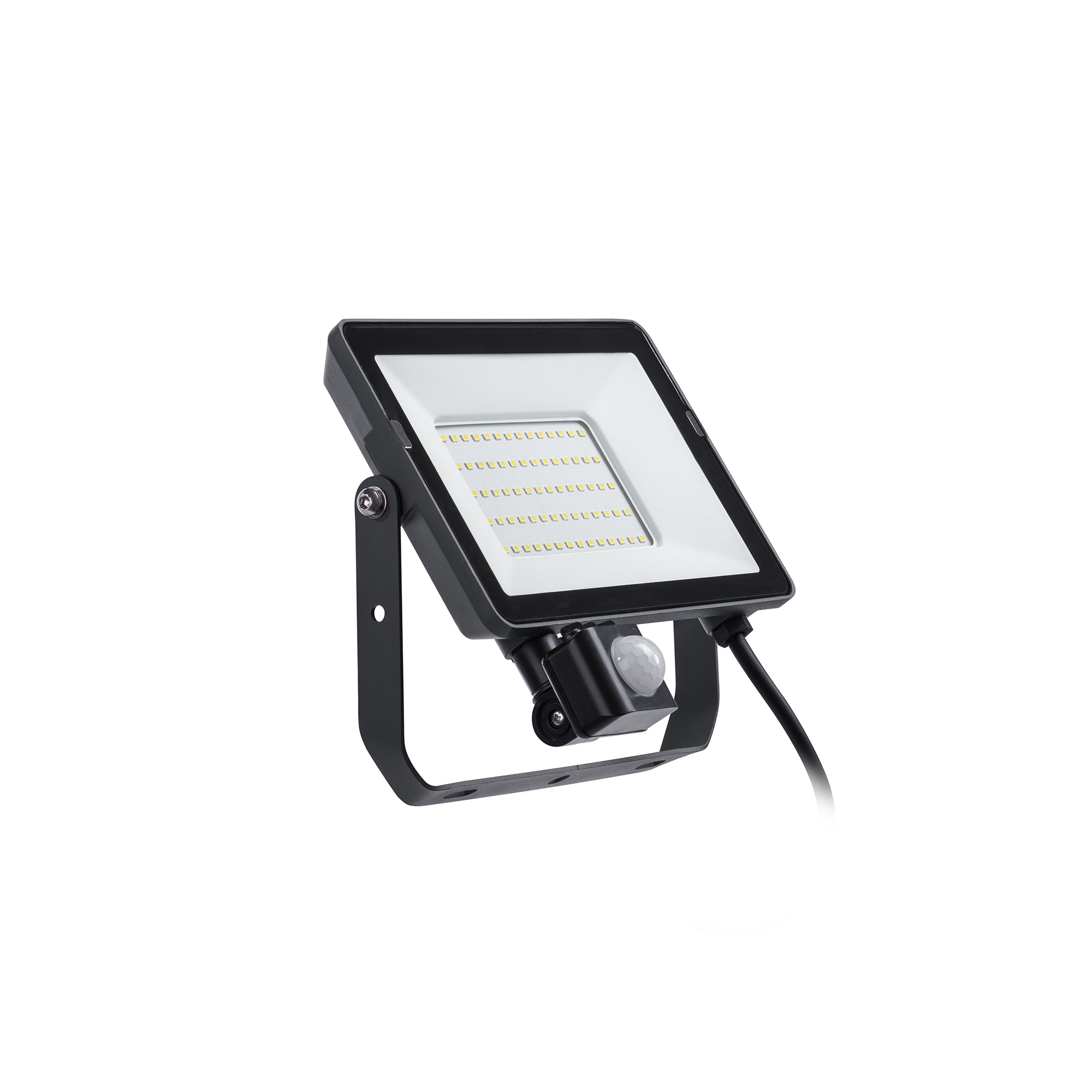 Philips straler ProjectLine zwart 50W met sensor