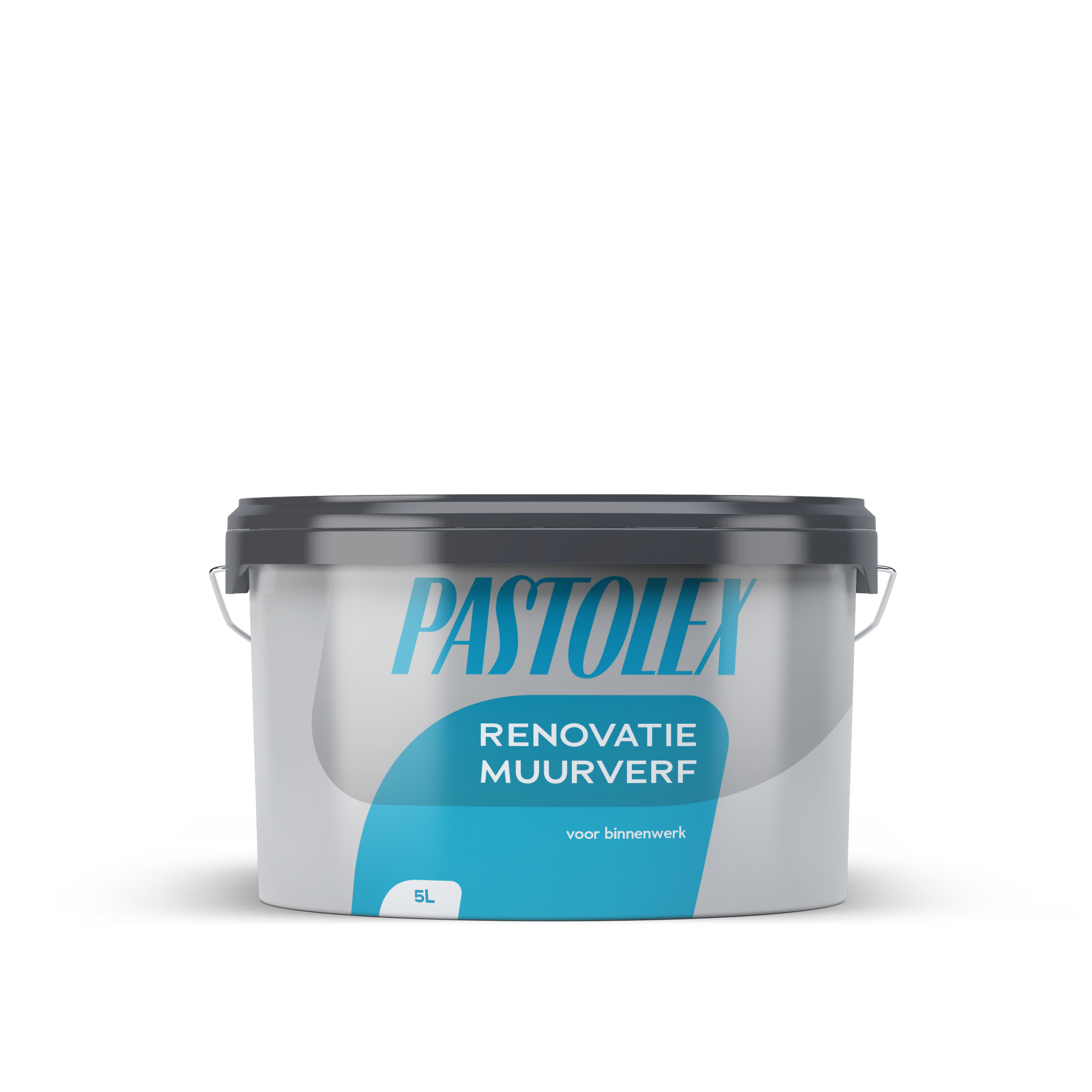 Pastolex Renovatiemuurverf Wit/P 5L