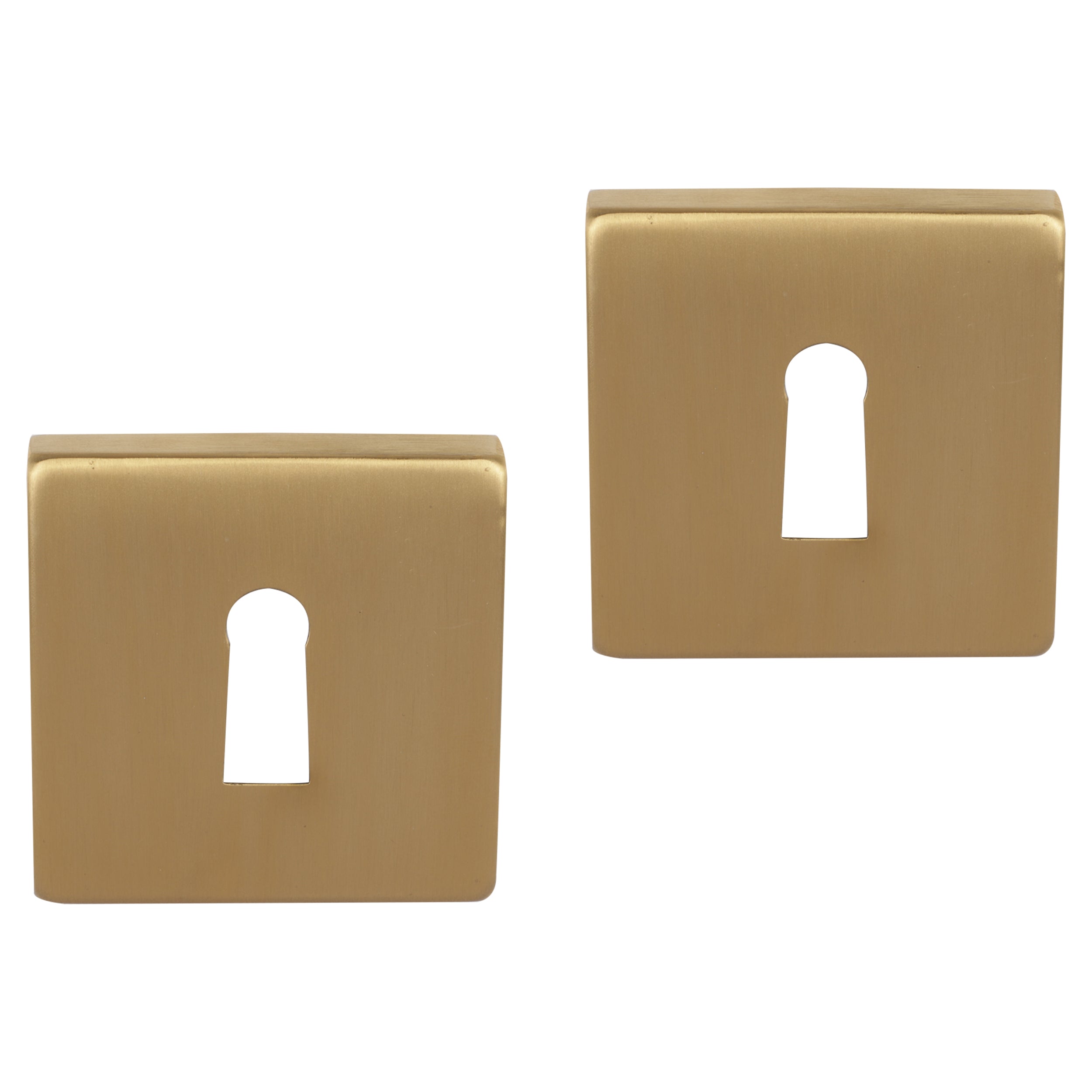 Differnz Signature Serie ronde rozet Buntbart goud