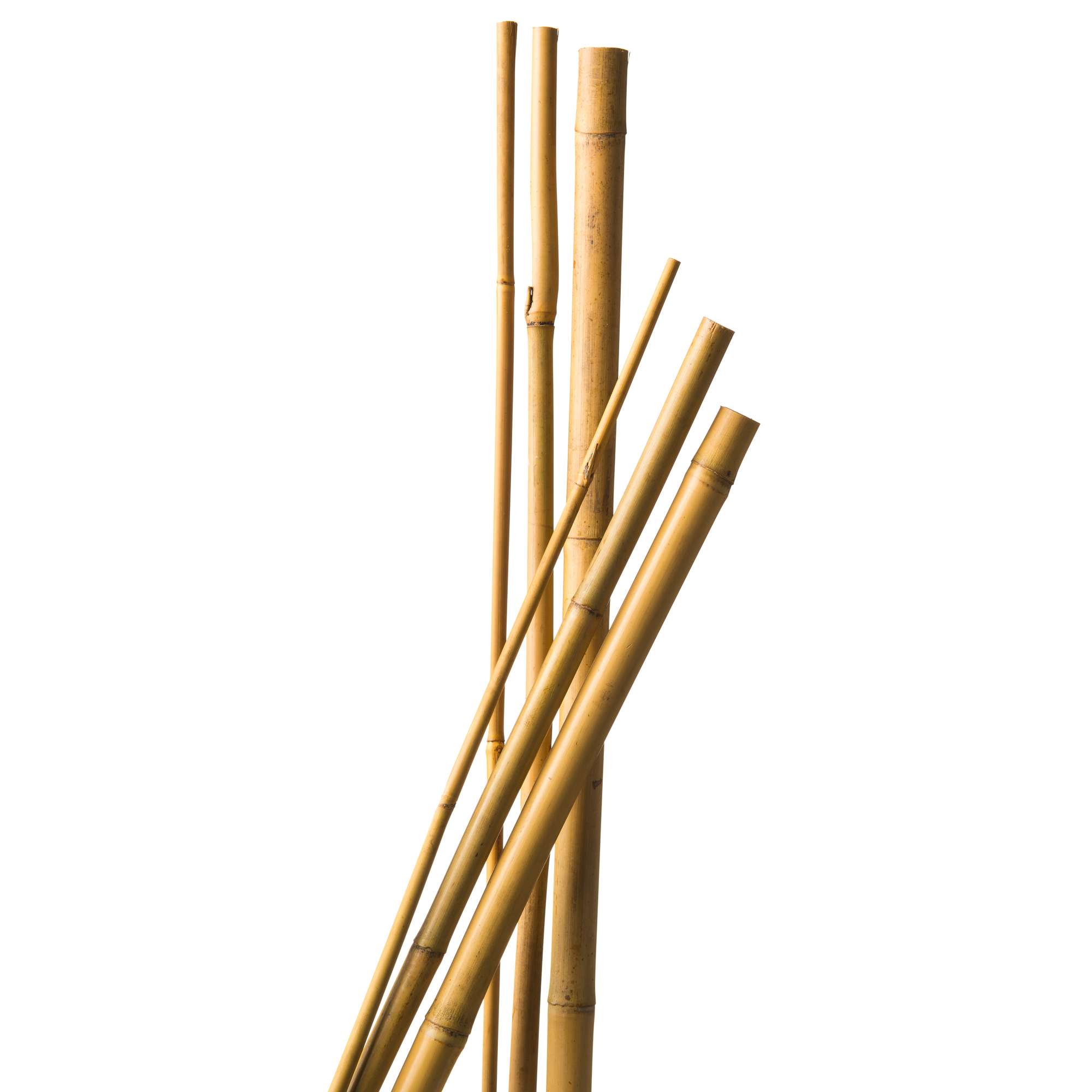 Nature bamboestok H150cmxØ12-14mm 4 stuks