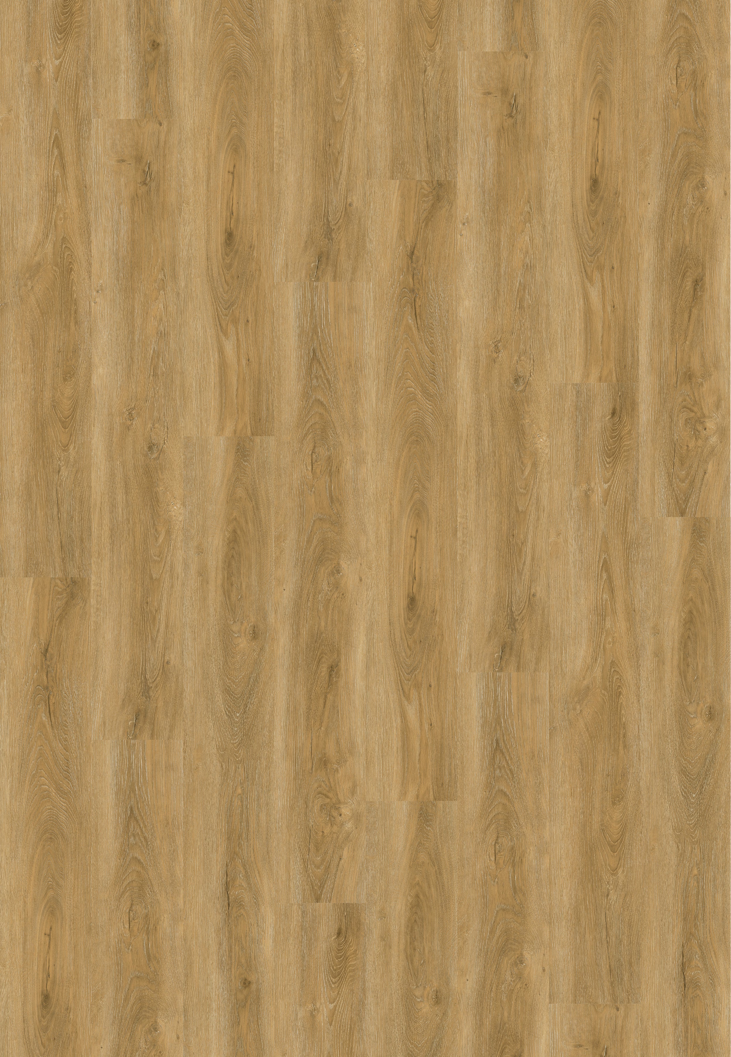 DecoMode PVC-vloer Sense Spring Oak 4mm 2,196m²