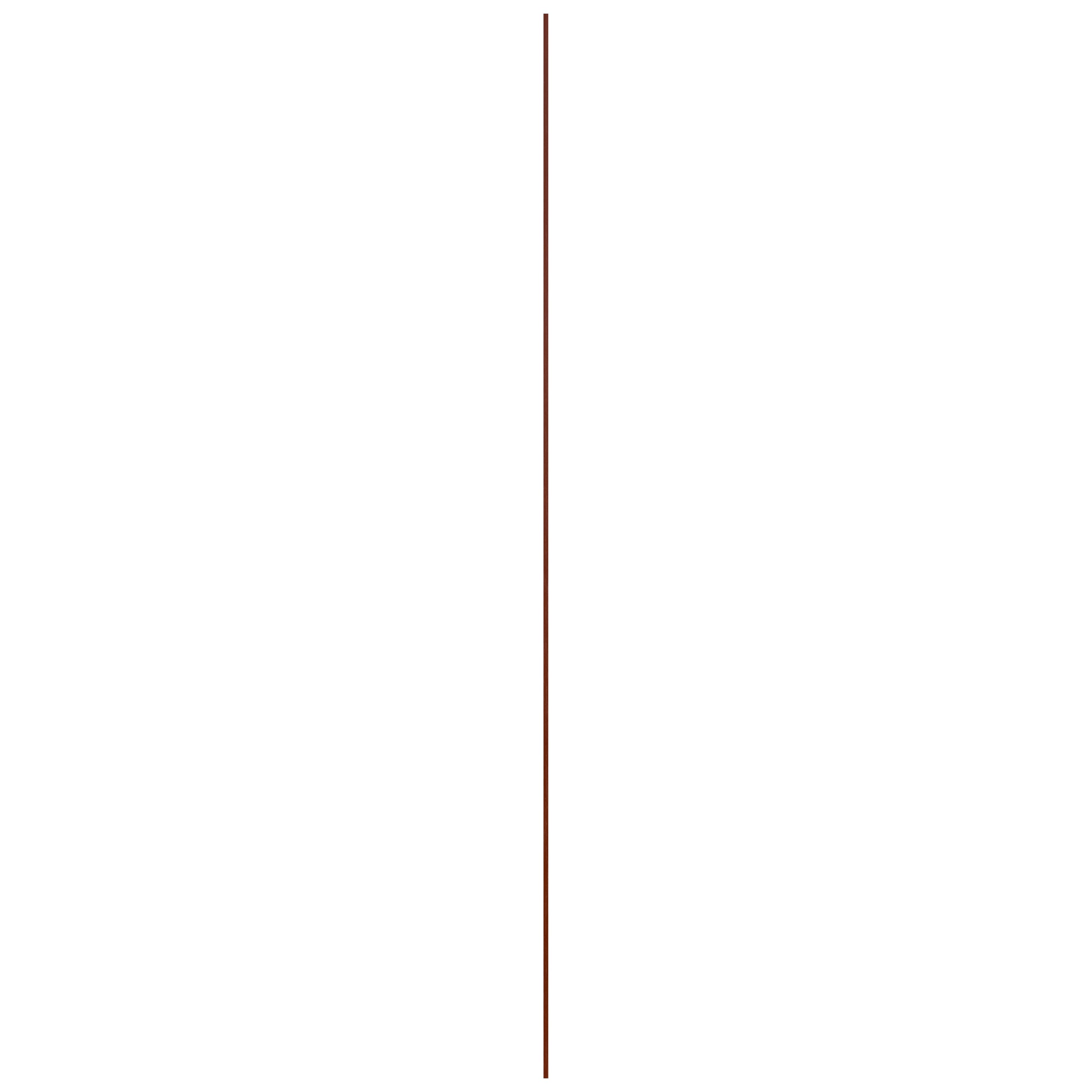 Hoge plint - Massief hardhout - Gelakt - 260cm - 11x55mm