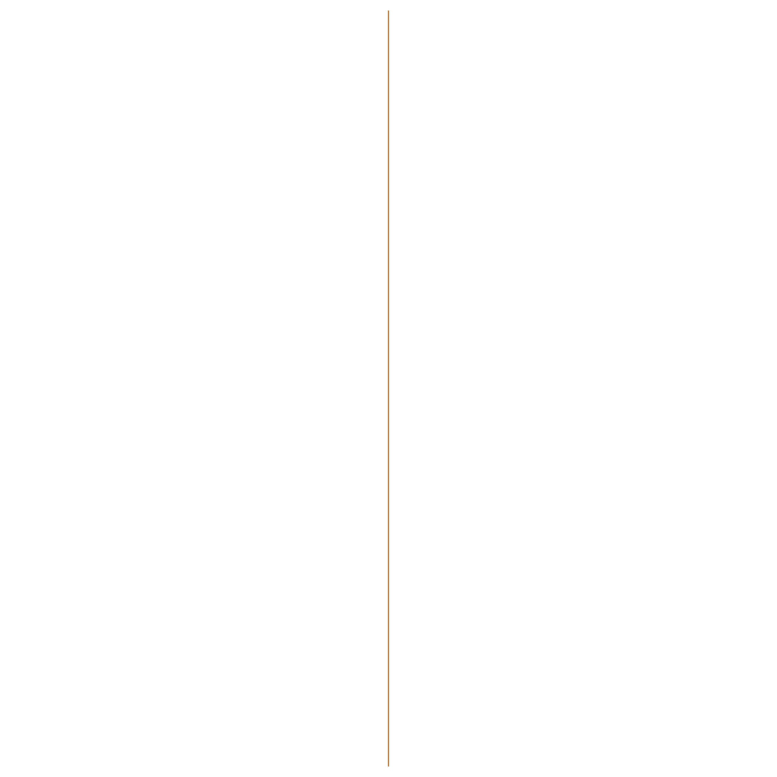 Hardboard paneel 1-zijdig wit gelakt 244X122cm 3mm