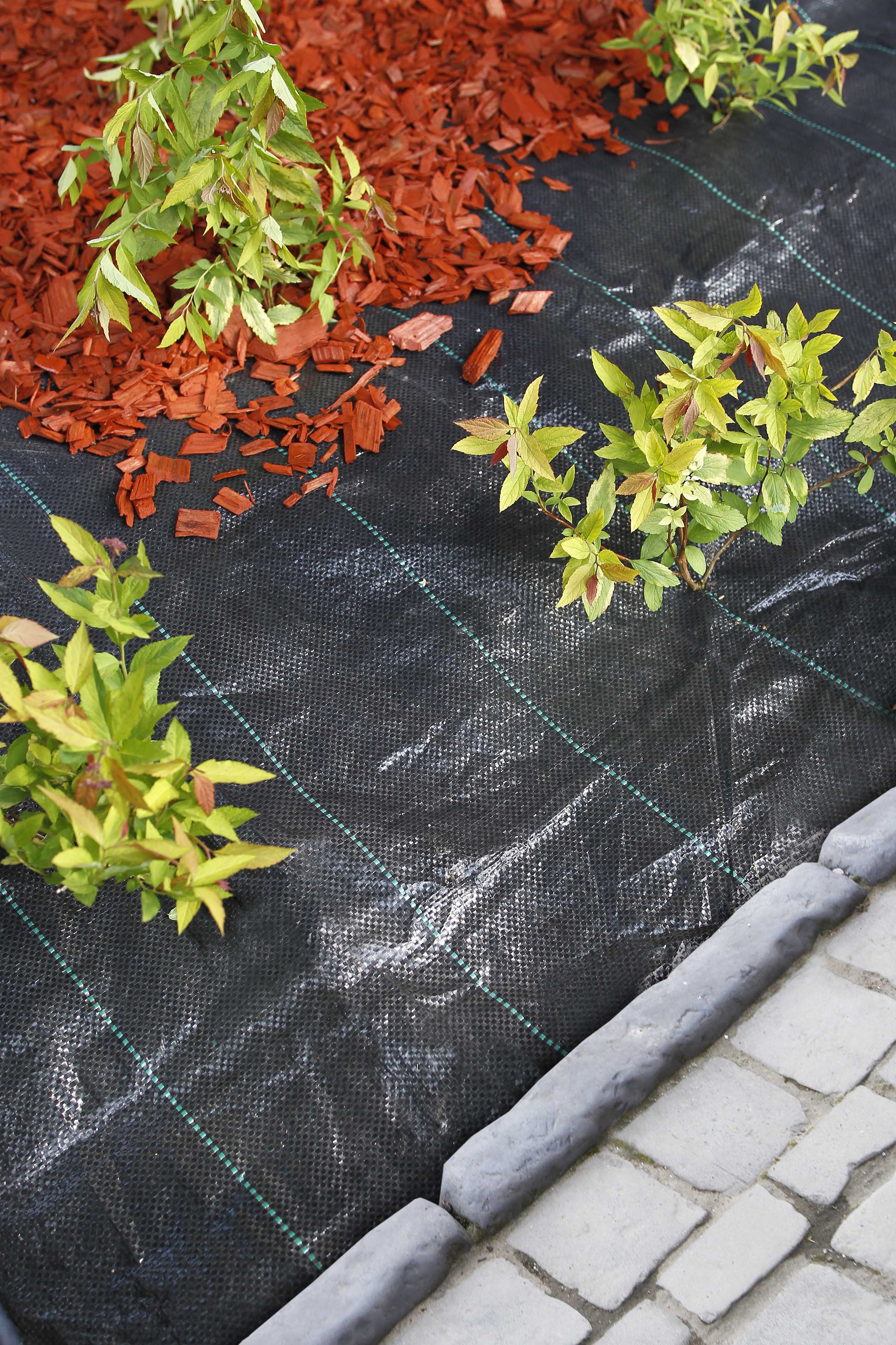 Nature gronddoek zwart 100 g/m² 2x5m