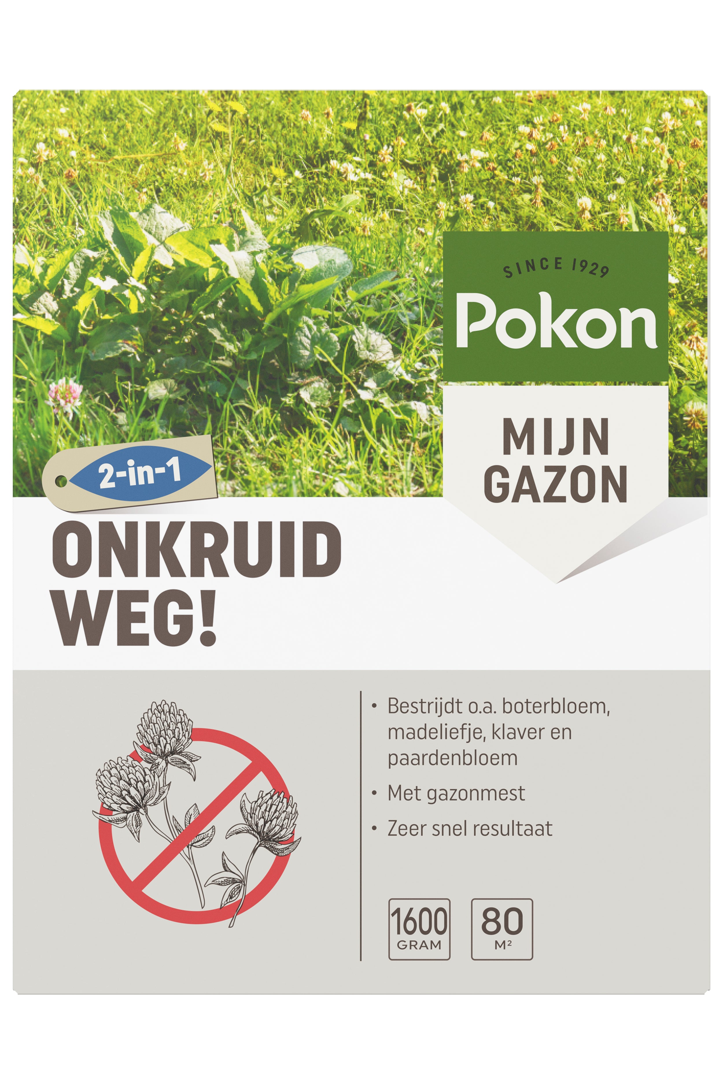 Pokon 2-in-1 onkruid weg 1600gr - voor 80m2