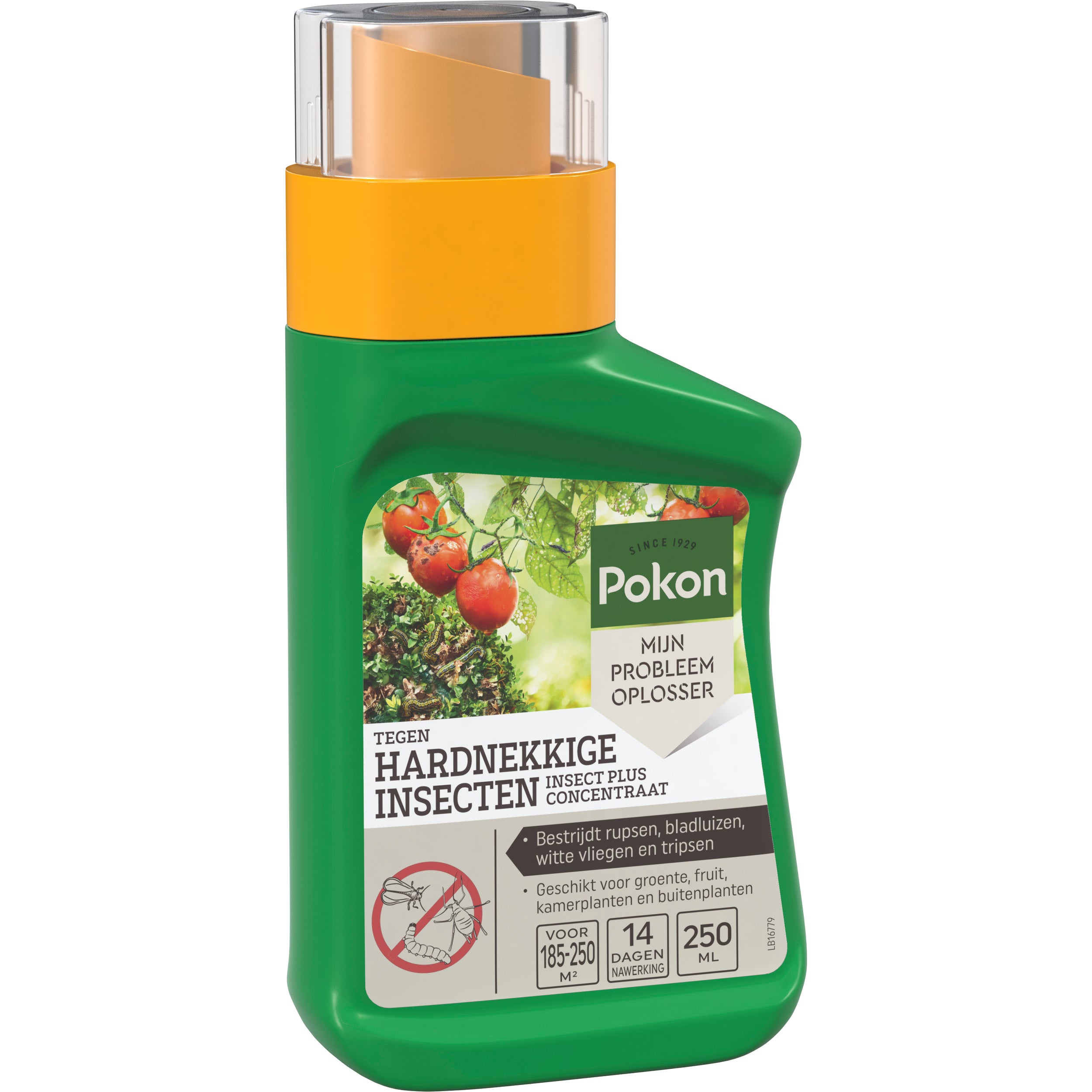 Pokon tegen hardnekkige insecten Insect Plus Concentraat 250ml