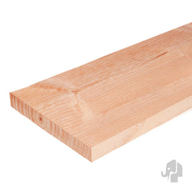 Schuttingplank Douglas gedroogd 16x140x2500 mm