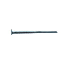 Sencys Spijkers met Platte Kop Gegalvaniseerd 6x140mm - 5 stuks