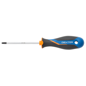 Dexter Torx schroevendraaier - T25 - 100mm - Magnetisch