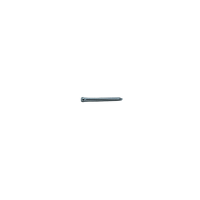 Sencys Spijkers met Verloren Kop VK Gegalvaniseerd 1,2x20mm - 800 stuks