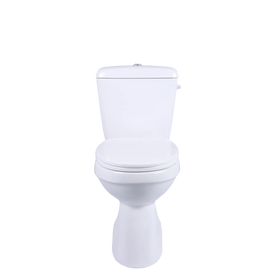 Aquavive Ippari Duoblok toilet met softclose toiletzitting - AO- wit