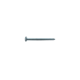 Sencys Spijkers met platte kop Gegalvaniseerd 2,7x50mm - 30 stuks