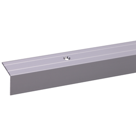 JéWé trapprofiel zilver 24x20mm 95cm