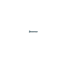 Sencys Spijkers met Platte Kop Gegalvaniseerd 0,9x10mm - 500 stuks