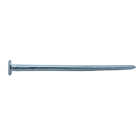 Sencys Spijkers met platte kop Gegalvaniseerd 7x200mm - 5 stuks