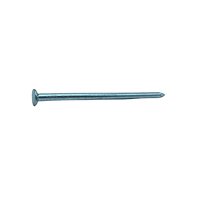 Sencys Spijkers met Platte Kop Gegalvaniseerd 5,5x125mm - 10 stuks