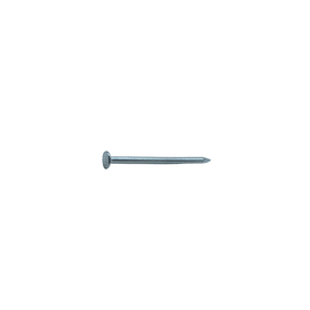 Sencys Spijkers met Platte Kop Gegalvaniseerd 2,4x45mm - 40 stuks