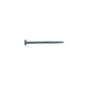 Sencys Spijkers met platte Kop Gegalvaniseerd 3x65mm - 20 stuks