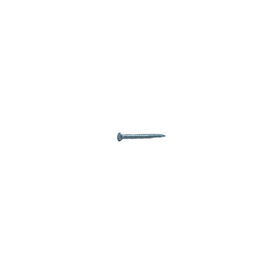 Sencys Spijkers met platte kop Gegalvaniseerd 1,0x15mm - 500 stuks