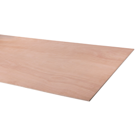 Multiplex hardhout 244X122cm 12mm