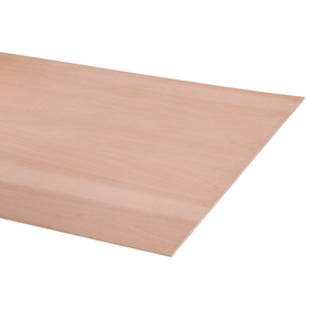 Multiplex hardhout 244X122cm 9mm